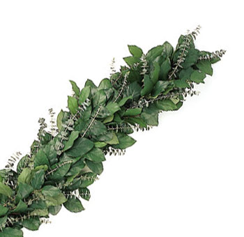 Salal and Eucalyptus Garland with lush green foliage, ideal for wedding arches, table runners, and mantle displays, featuring a natural, aromatic design.