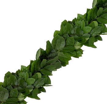 Fresh salal leaf garland 5 inches wide for wedding table runners WholeBlossoms