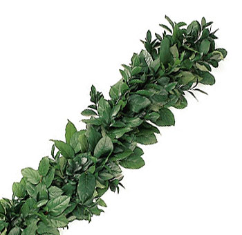 Wholesale fresh salal and italian ruscus garland 5 inches wide for wedding table runners WholeBlossoms