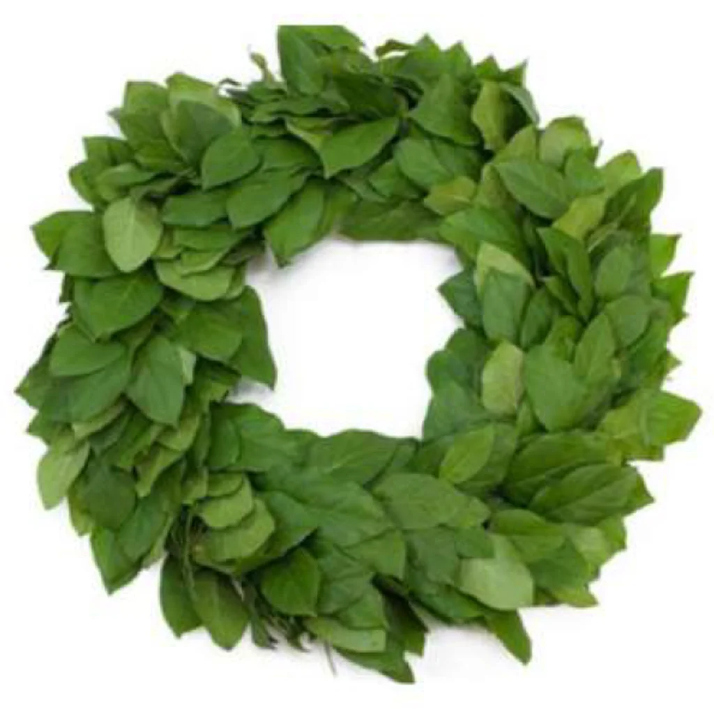 Salal Wreath with fresh, vibrant green salal leaves. A lush and versatile design for weddings, rustic events, or everyday décor.