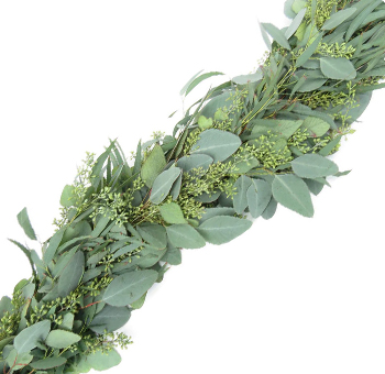 Fresh seeded eucalyptus garland with silver-green leaves and delicate seed pods, 5 inches wide for wedding and event décor.