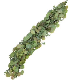 Silver Dollar and Baby Eucalyptus Garland with a 5-inch width, featuring soft green eucalyptus leaves, ideal for wedding decor, small centerpieces, and intimate event greenery.