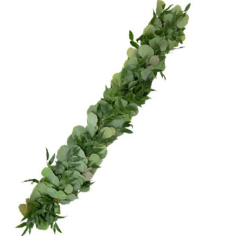 A beautiful display of Wholesale Silver Dollar Eucalyptus and Italian Ruscus Garland, perfect for event décor and celebrations.