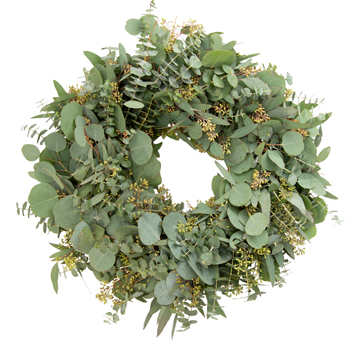 Eucalyptus Mix Wreath with seeded, silver dollar, and baby eucalyptus. Lush green tones and refreshing scent, perfect for year-round décor or events.