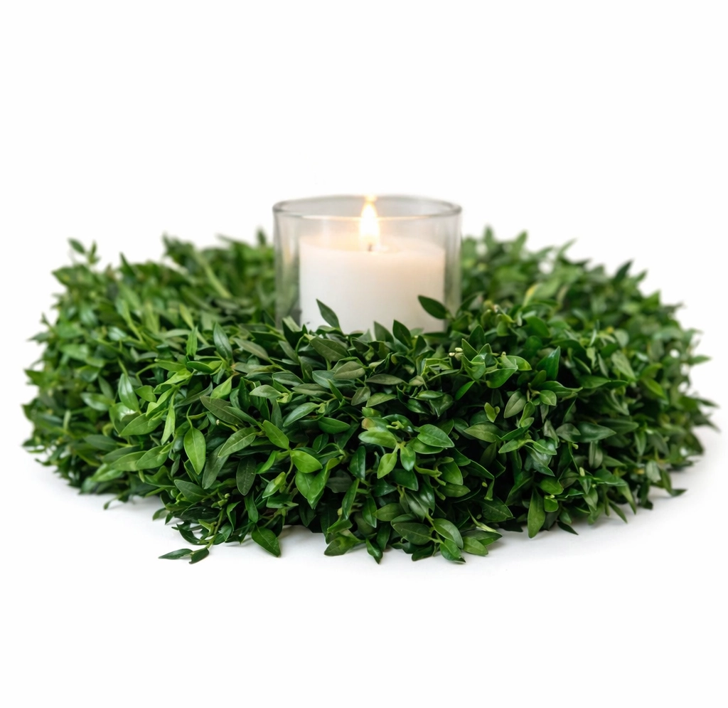 Boxwood Candle Ring Wreath featuring lush greenery encircling a vibrant red candle, ideal for holiday centerpieces and festive décor.