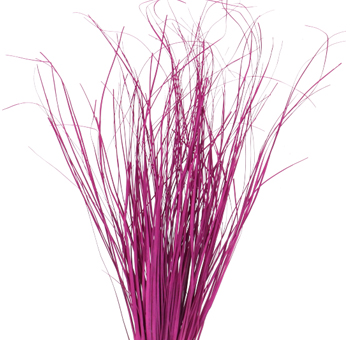 Grass