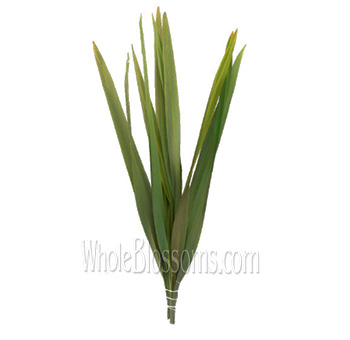 Wholesale flax leaves greenery in bulk, perfect for wedding décor, floral arrangements, and event centerpieces.