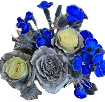 Hanukkah Colors
