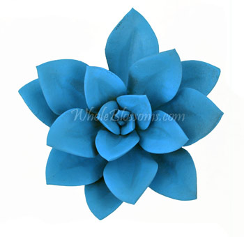 Turquoise Flowers