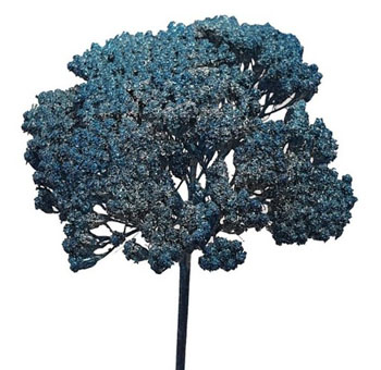 Sapphire Blue Flowers