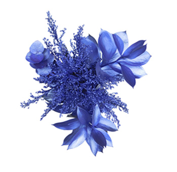 Blue Flowers
