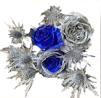Christmas Flowers