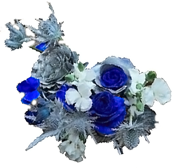 Holiday bouquet with blue roses and thistle, ideal for regal winter weddings, seasonal events, and floral décor.