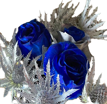 Holiday Wonderland rose in blue and silver tones, perfect for weddings, winter gifts, and festive styling.