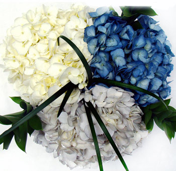 Close-up of painted hydrangea Hanukkah centerpiece featuring white, blue, and silver blooms symbolizing light, tradition, and celebration.