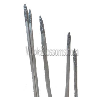 Silver glitter lily grass adds shimmer to weddings, gifts, and festive floral arrangements.