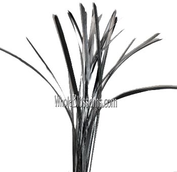 Silver metallic lily grass filler adds sparkle to weddings, winter events, and elegant floral styling.