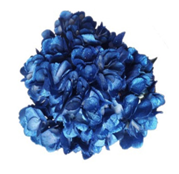 Close-up of metallic glitter blue hydrangea showcasing royal blue petals with shimmering accents, ideal for elegant and luxurious winter floral displays.