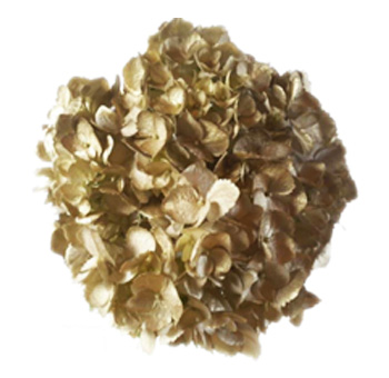 Gold glitter hydrangea blooms, ideal for weddings, holiday centerpieces, and luxury floral styling.
