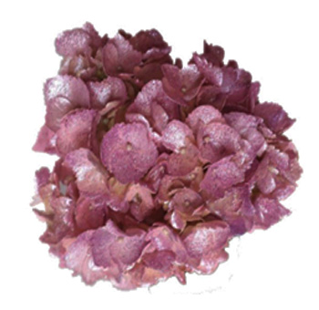 Close-up of metallic pink glitter airbrushed hydrangea petals, sparkling with shimmer and texture, perfect for elegant events and displays.