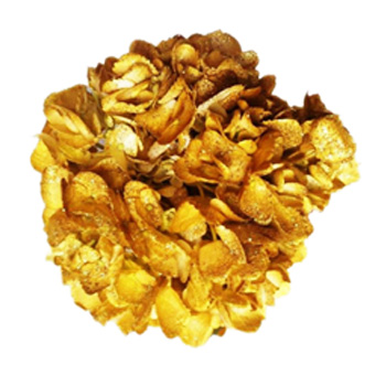 Close-up of metallic yellow glitter hydrangea flower, showcasing rich texture and sparkling golden shimmer on fresh petals.