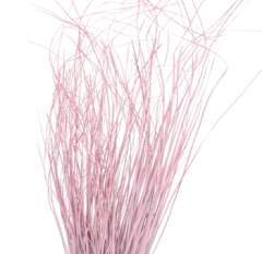 Bear Grass - Pink Filler Flowers Painted