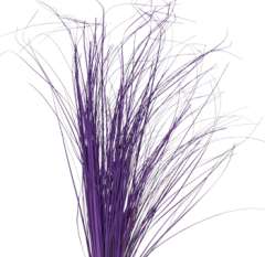 Bear Grass - Purple Filler Flowers Painted