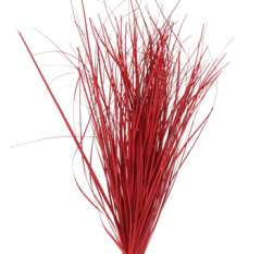 Bear Grass - Red Filler Flowers Painted