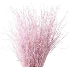 Light Pink Birch Branches Dyed | Betula Pendula