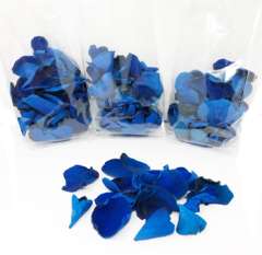 Blue Rose Petals