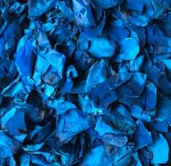 Blue Rose Petals Preserved