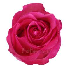 Dekora Pink Roses