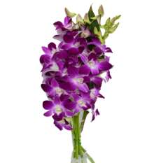 Purple Dendrobium Orchid Bouquet ( 5 Stems + 1 Leaf )
