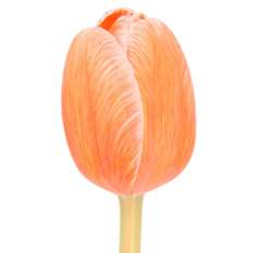 Dyed Tulips Painted Coral Salmon