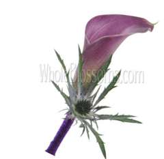 Lavender Mini Calla Boutonniere Flower