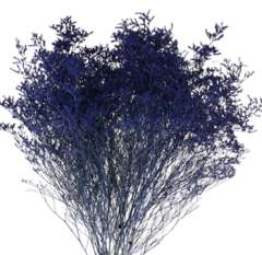 Limonium Flower - Painted Dark Blue