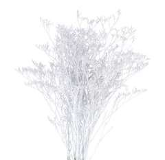Limonium Flower - Painted White Glitter
