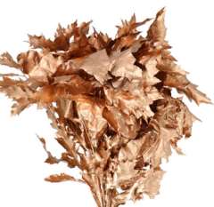 Oak Leaves - Copper Dyed