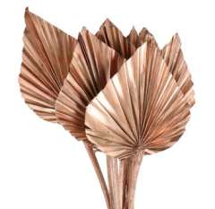 Palm Leaves Spear Dried - Copper