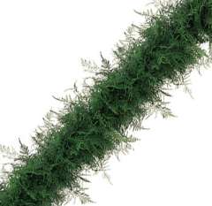 Plumosa Garland - Full - 9 inches Wide