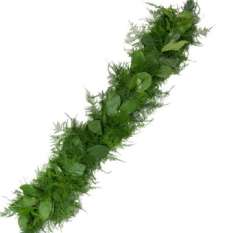Salal and Plumosa Garland - 7 inches Wide (Medium)