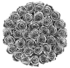 Silver Rose Collection