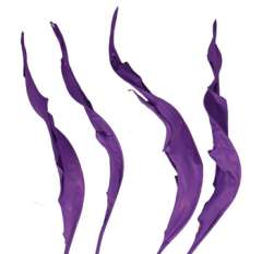 Bird of Paradise Dry Leaves - Purple