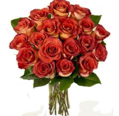 Terracotta Long Stem Roses - Super Premium