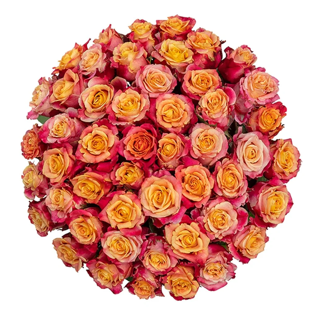 Bulk 3D Roses in striking two-tone pink, ideal for romantic event centerpieces, bridal florals, and upscale flower arrangements.