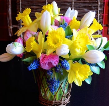 Spring Flowers