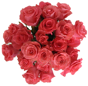 Bouquet of Amsterdam Coal Roses – large, vibrant coral blooms, perfect for weddings and events, available in bulk from Whole Blossoms.