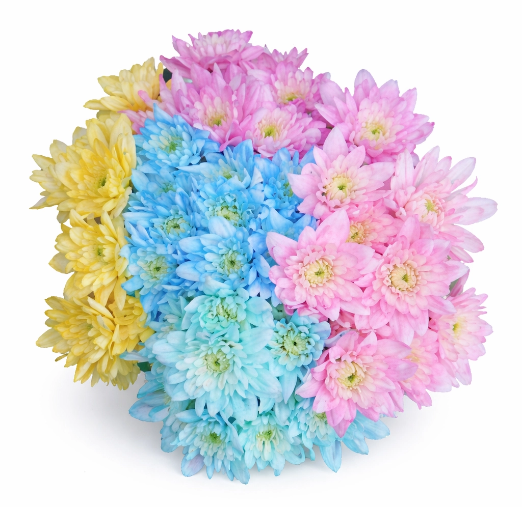 Assorted pastel dyed cushion pom flowers in bulk for weddings, baby showers, spring events, and colorful floral arrangements.