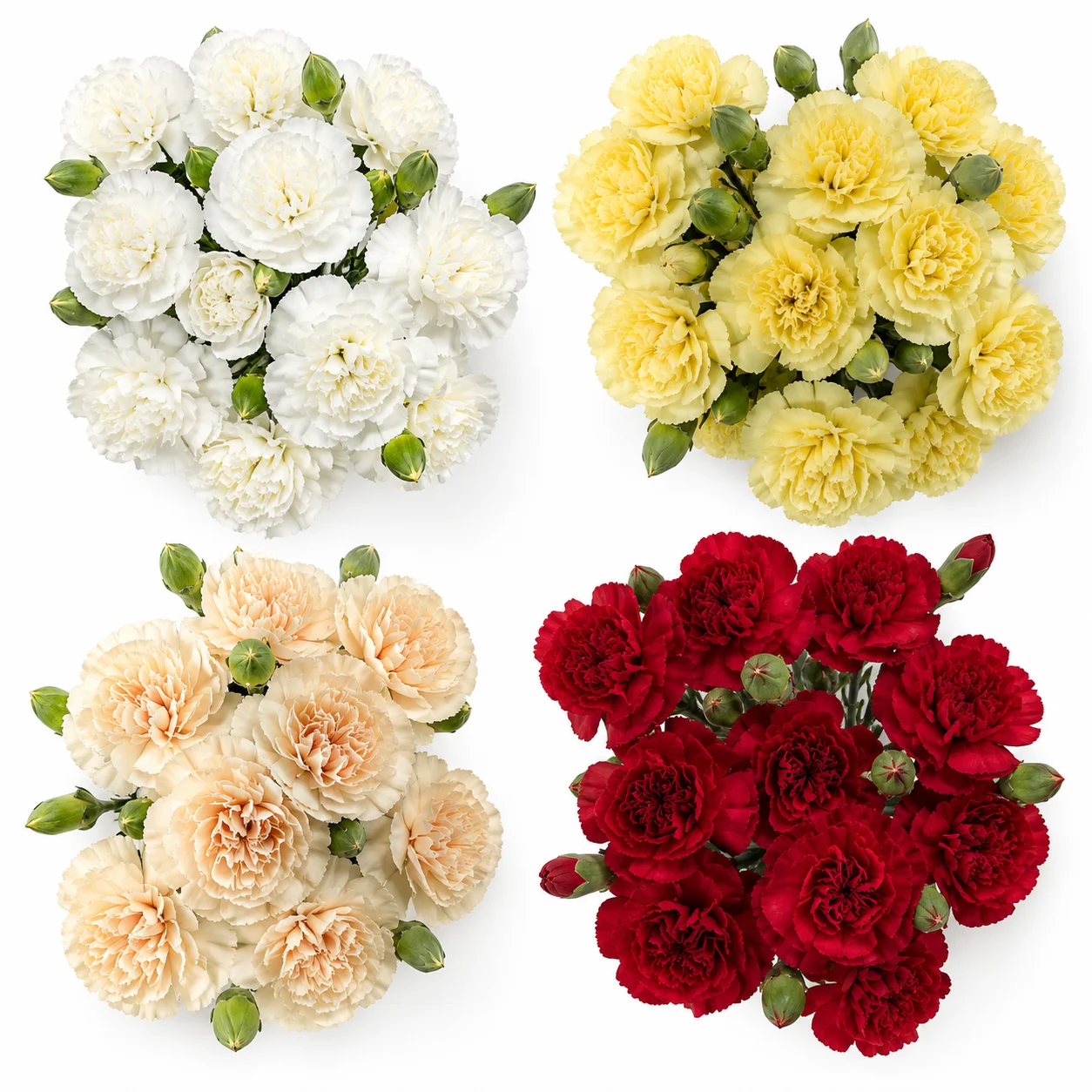 Assorted farm-fresh wholesale mini carnation bunches in white, yellow, peach, and red for bulk wedding flowers.