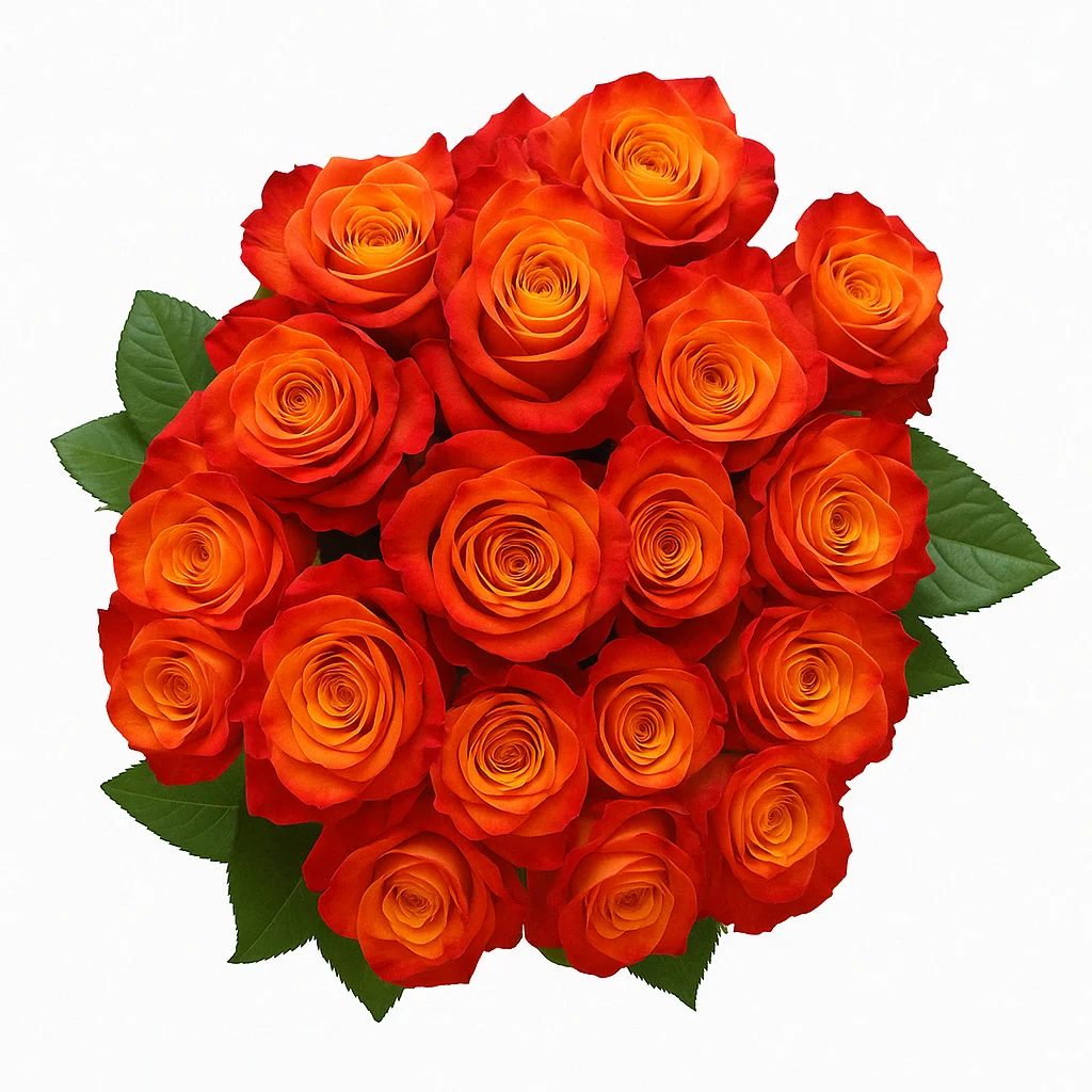 A vibrant bouquet of atomic roses in red and orange hues, arranged in a circular shape with green leaves, displayed against a clean white background.
